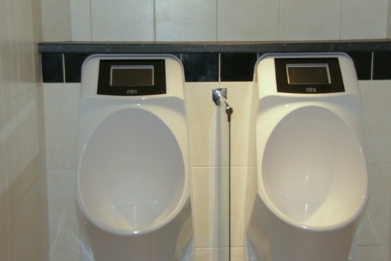 Waterless/waterfree urinal Vuursche Bos with media player